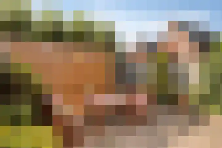 Hulsbergen 6 Wapenveld thumbnail 32