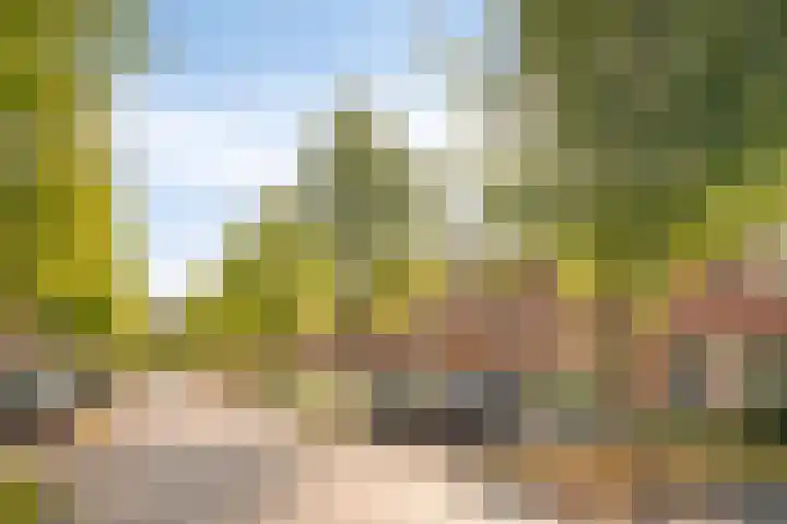 Hulsbergen 6 Wapenveld thumbnail 36