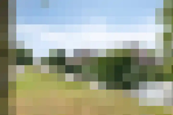 Hulsbergen 6 Wapenveld thumbnail 37