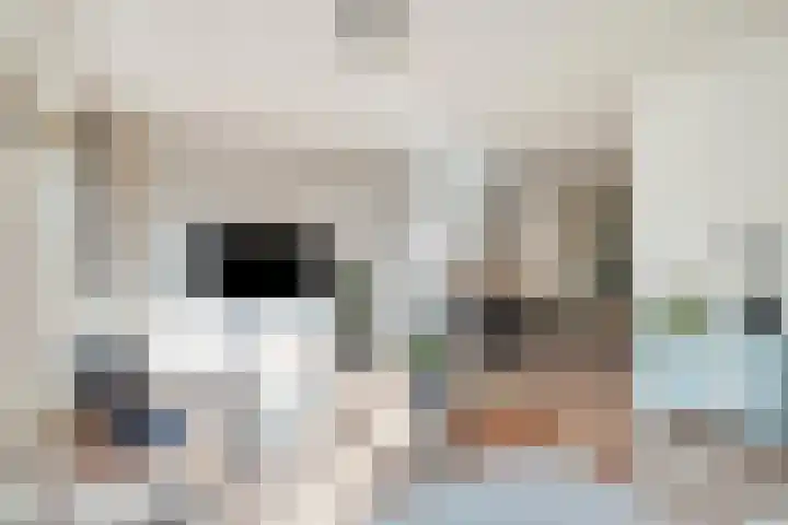 Hulsbergen 6 Wapenveld thumbnail 4