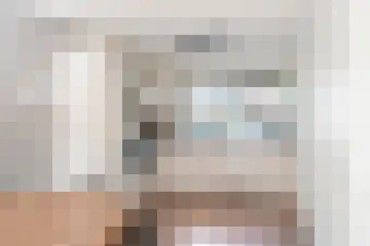 Hulsbergen 6 Wapenveld thumbnail 7