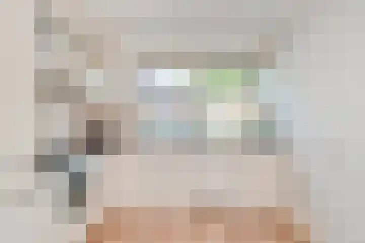 Hulsbergen 6 Wapenveld thumbnail 8