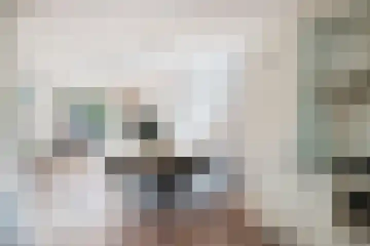 Hulsbergen 6 Wapenveld thumbnail 9