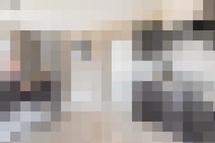 Hulsbos 1 Liessel thumbnail 10