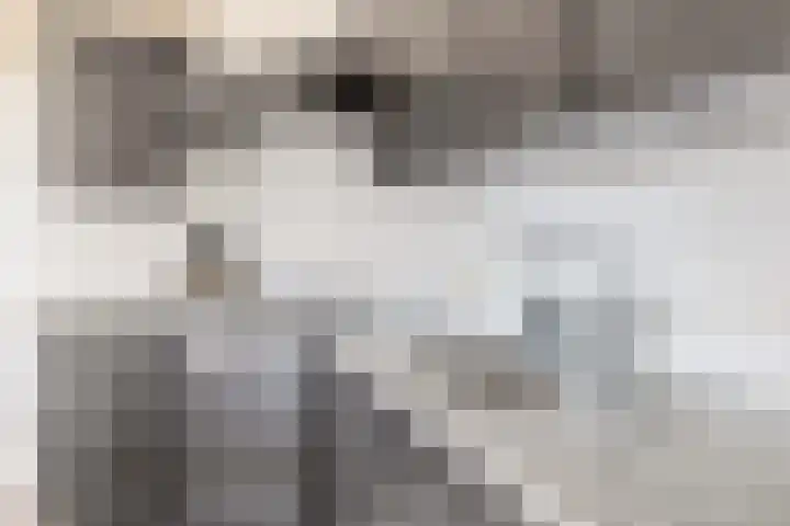 Hulsbos 1 Liessel thumbnail 12