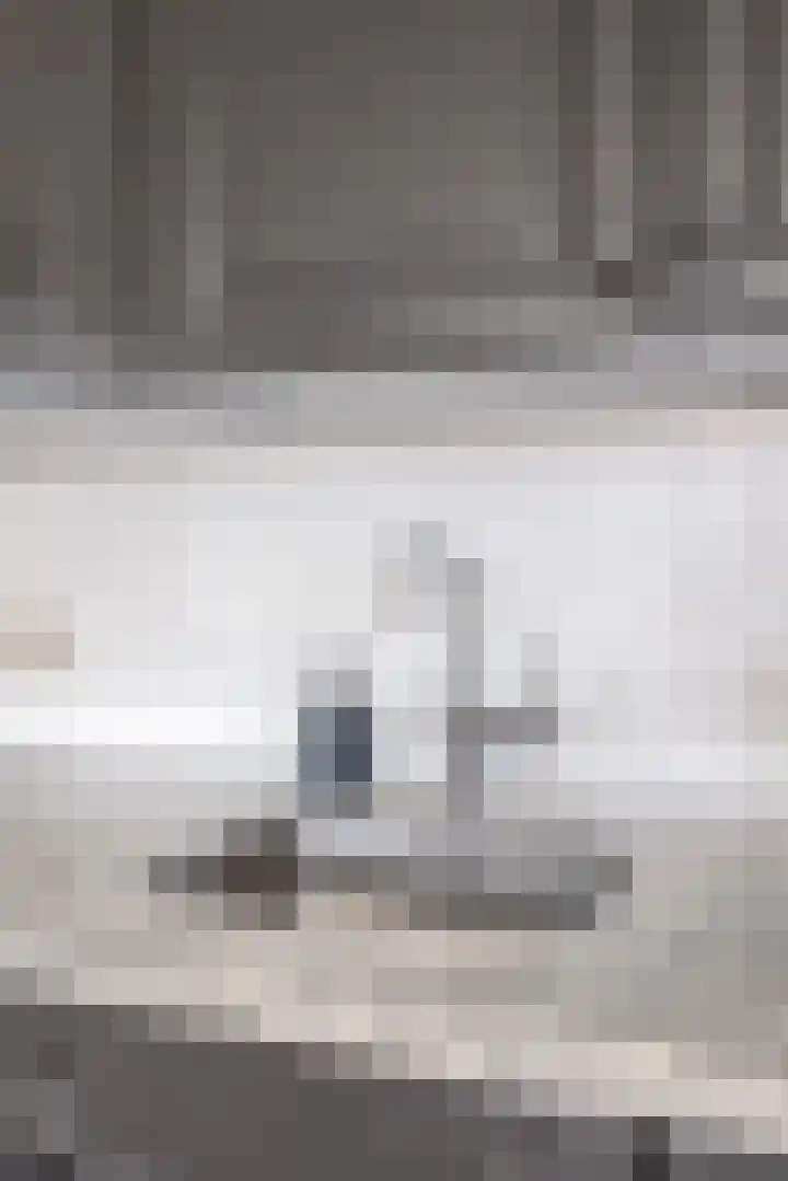 Hulsbos 1 Liessel thumbnail 13