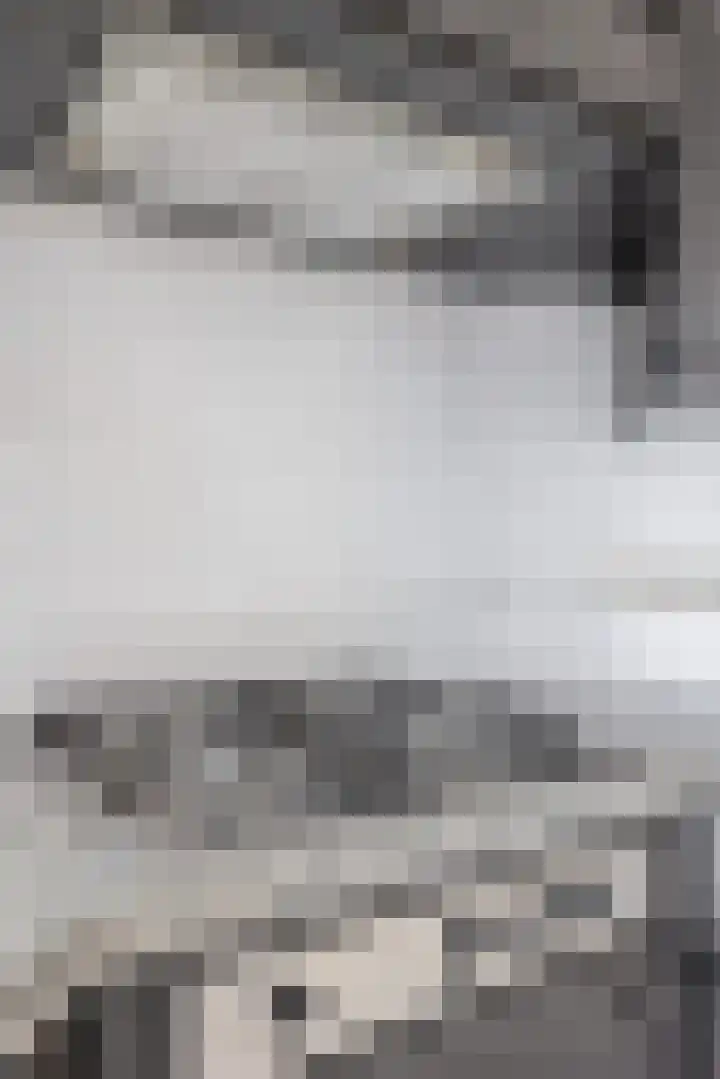 Hulsbos 1 Liessel thumbnail 14