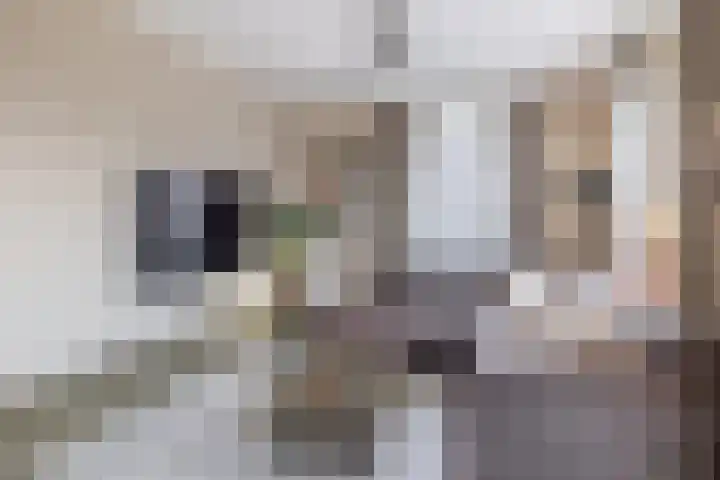 Hulsbos 1 Liessel thumbnail 20