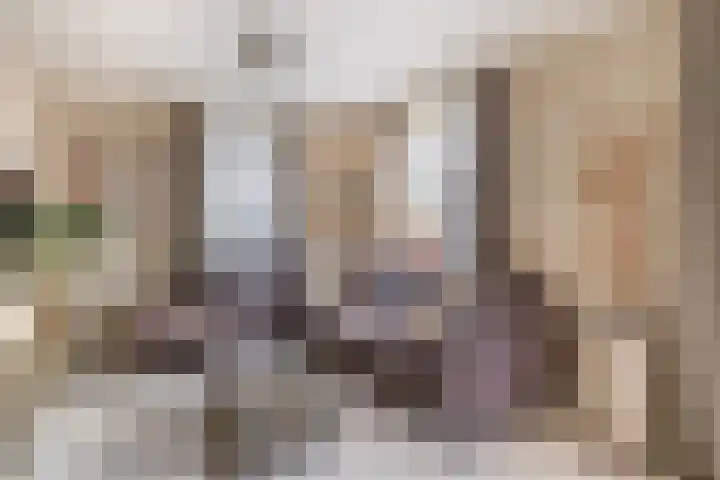 Hulsbos 1 Liessel thumbnail 21