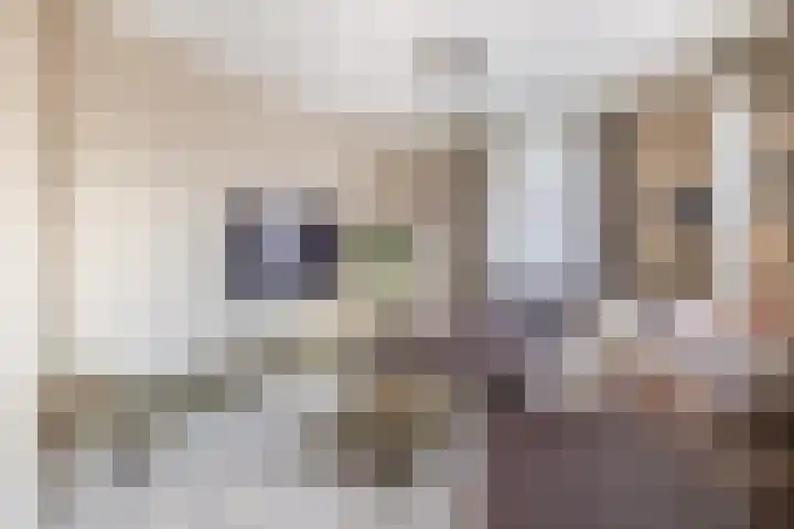 Hulsbos 1 Liessel thumbnail 22
