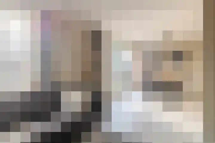 Hulsbos 1 Liessel thumbnail 23
