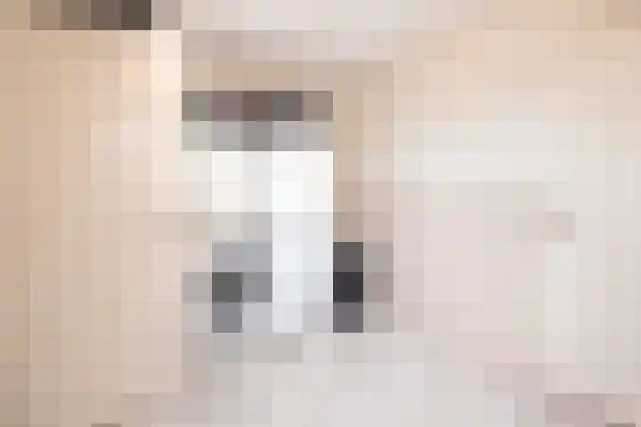 Hulsbos 1 Liessel thumbnail 26