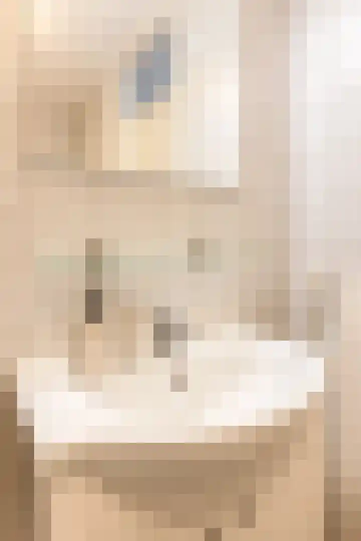 Hulsbos 1 Liessel thumbnail 35