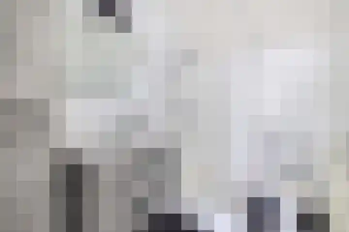 Hulsbos 1 Liessel thumbnail 40