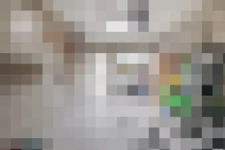 Hulsbos 1 Liessel thumbnail 45