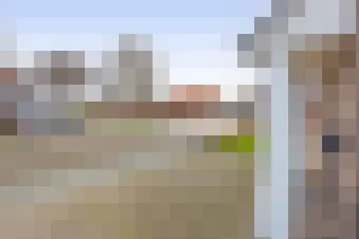 Hulsbos 1 Liessel thumbnail 48
