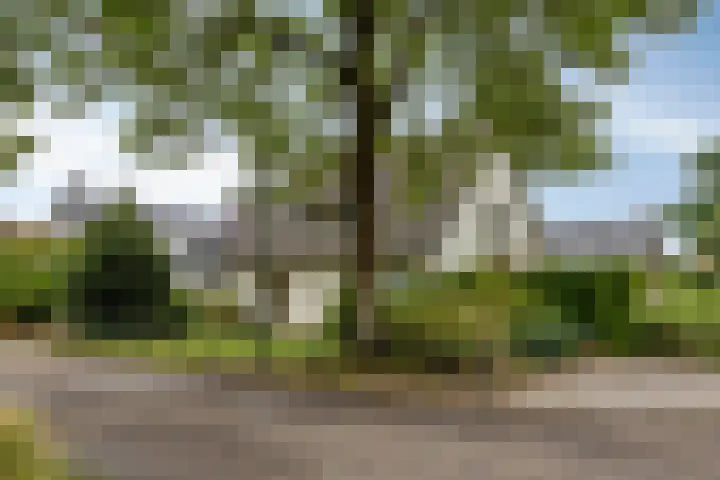Hulsbos 15 in Mierlo