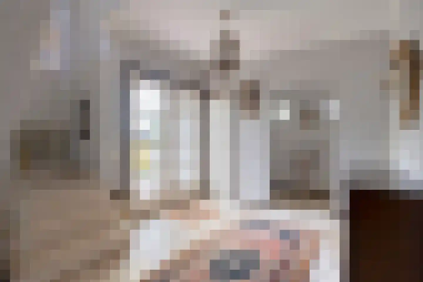 Hulsbos 15 Mierlo thumbnail 11