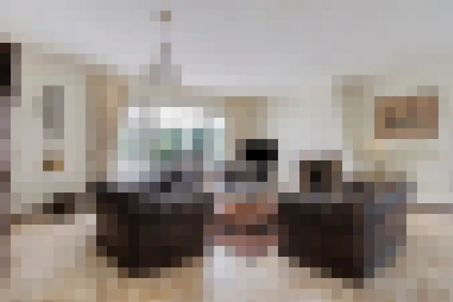 Hulsbos 15 Mierlo thumbnail 14