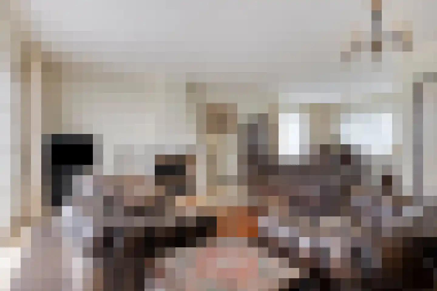 Hulsbos 15 Mierlo thumbnail 15