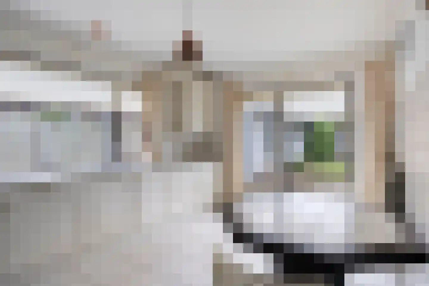 Hulsbos 15 Mierlo thumbnail 23