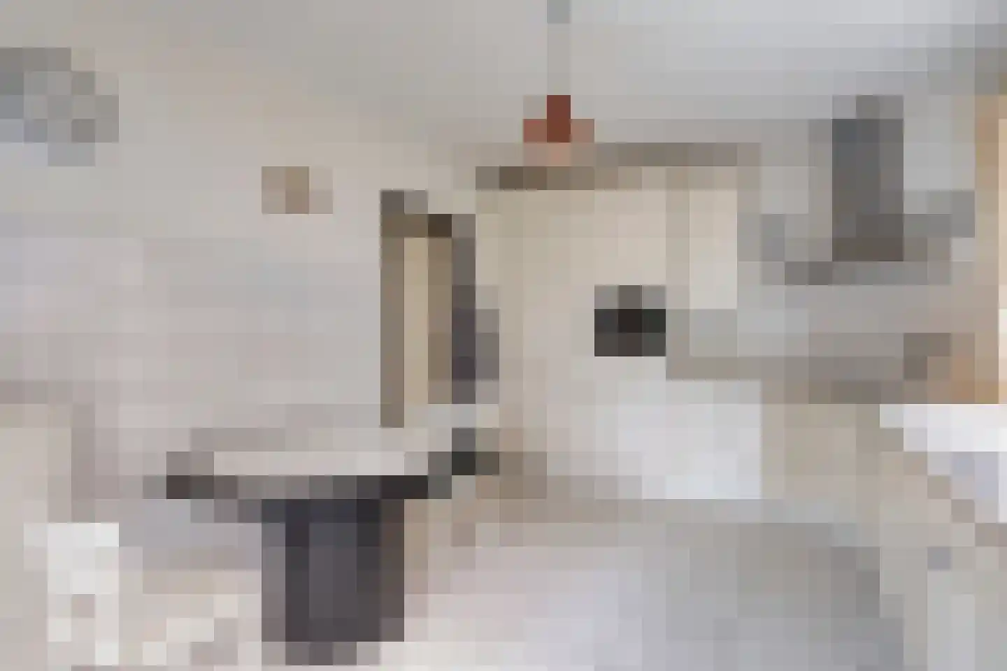 Hulsbos 15 Mierlo thumbnail 25