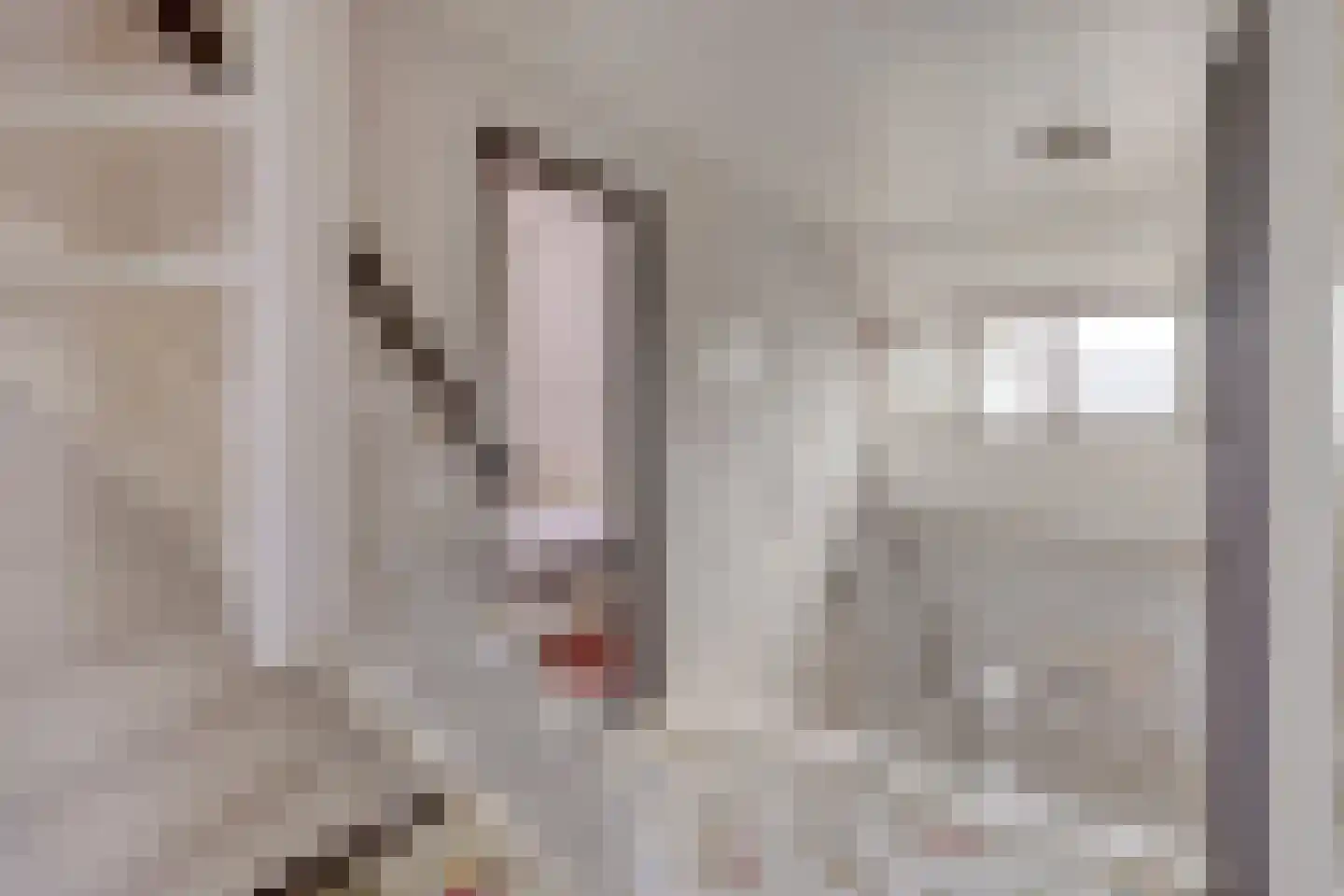 Hulsbos 15 Mierlo thumbnail 27