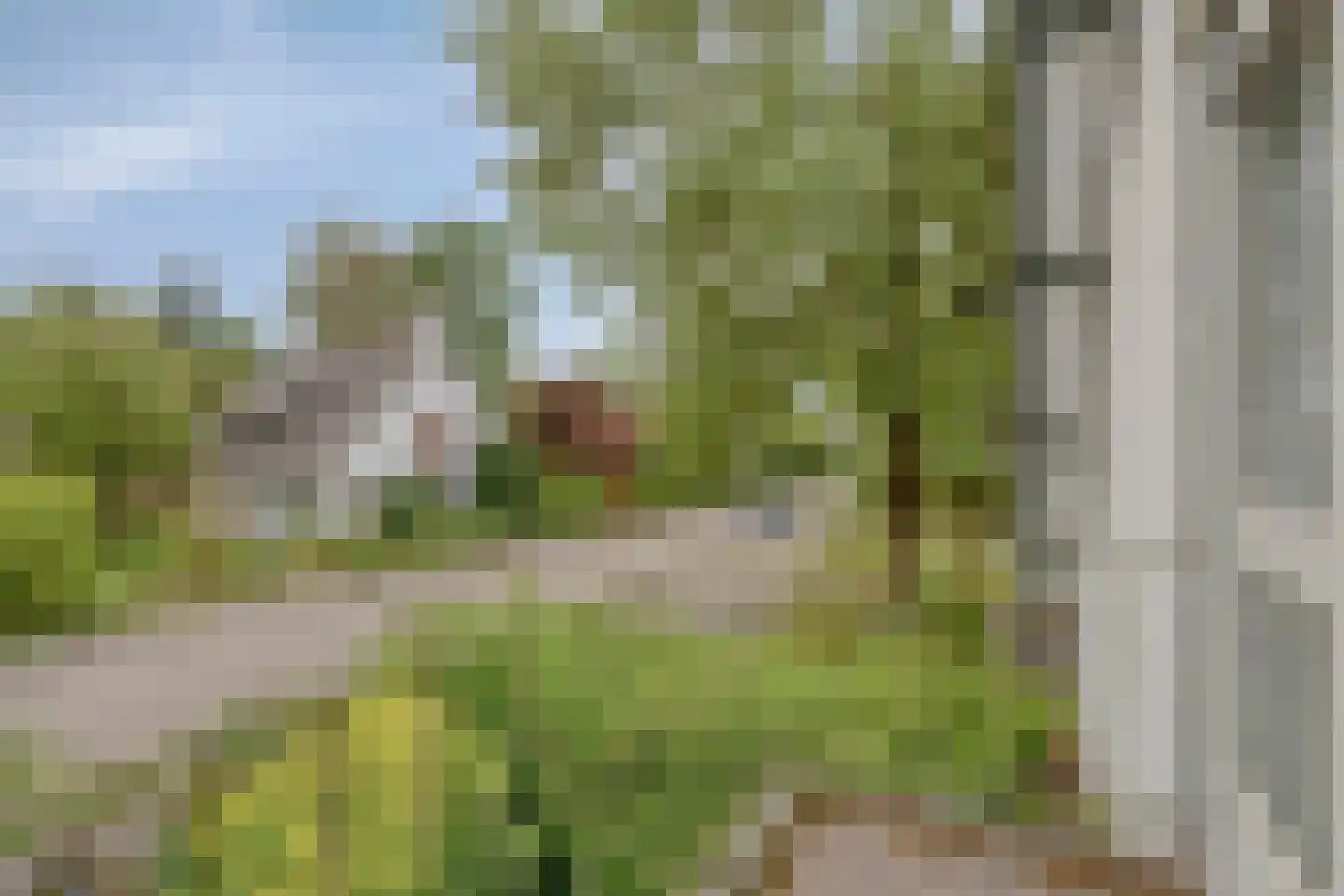 Hulsbos 15 Mierlo thumbnail 31