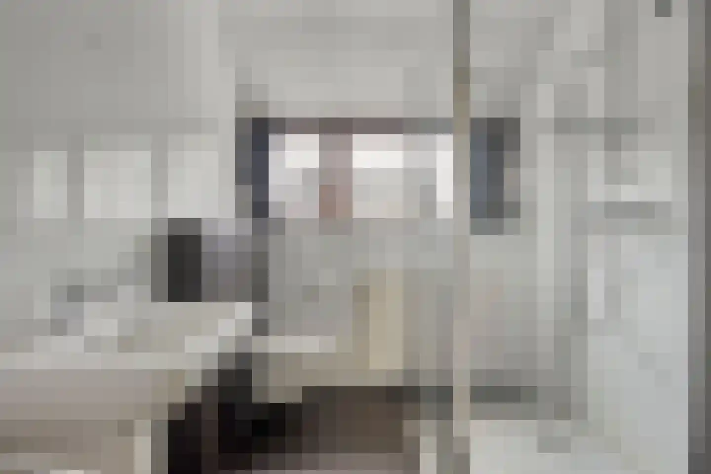 Hulsbos 15 Mierlo thumbnail 32