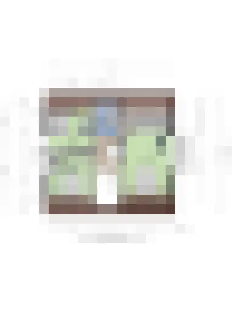 Hulsbos 15 Mierlo thumbnail 36