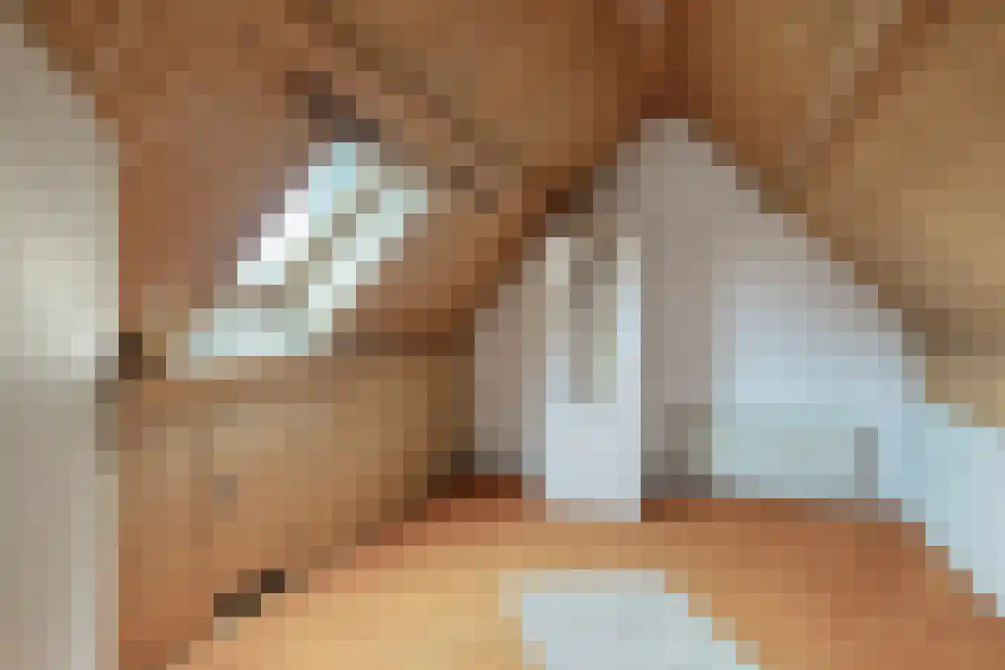 Hulsbos 15 Mierlo thumbnail 39