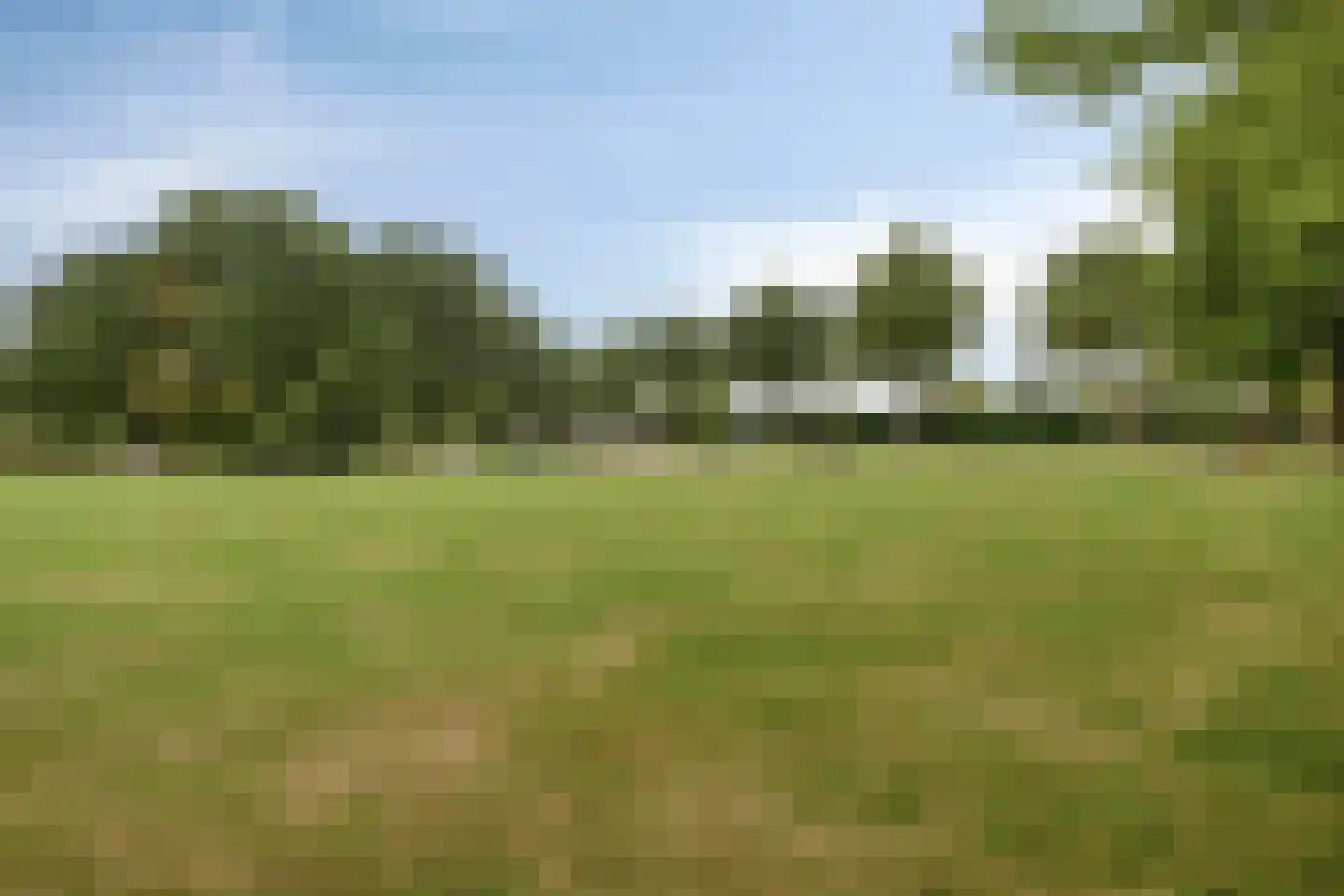 Hulsbos 15 Mierlo thumbnail 47