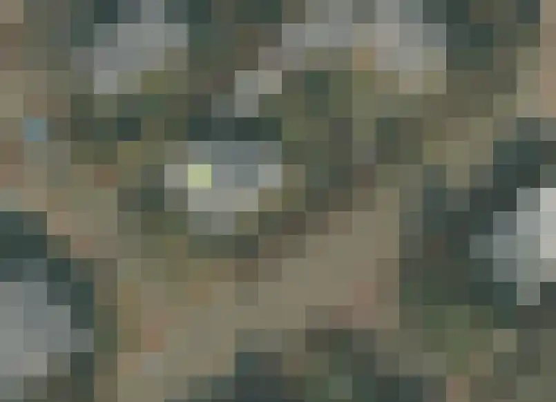 Hulsbos 15 Mierlo thumbnail 48
