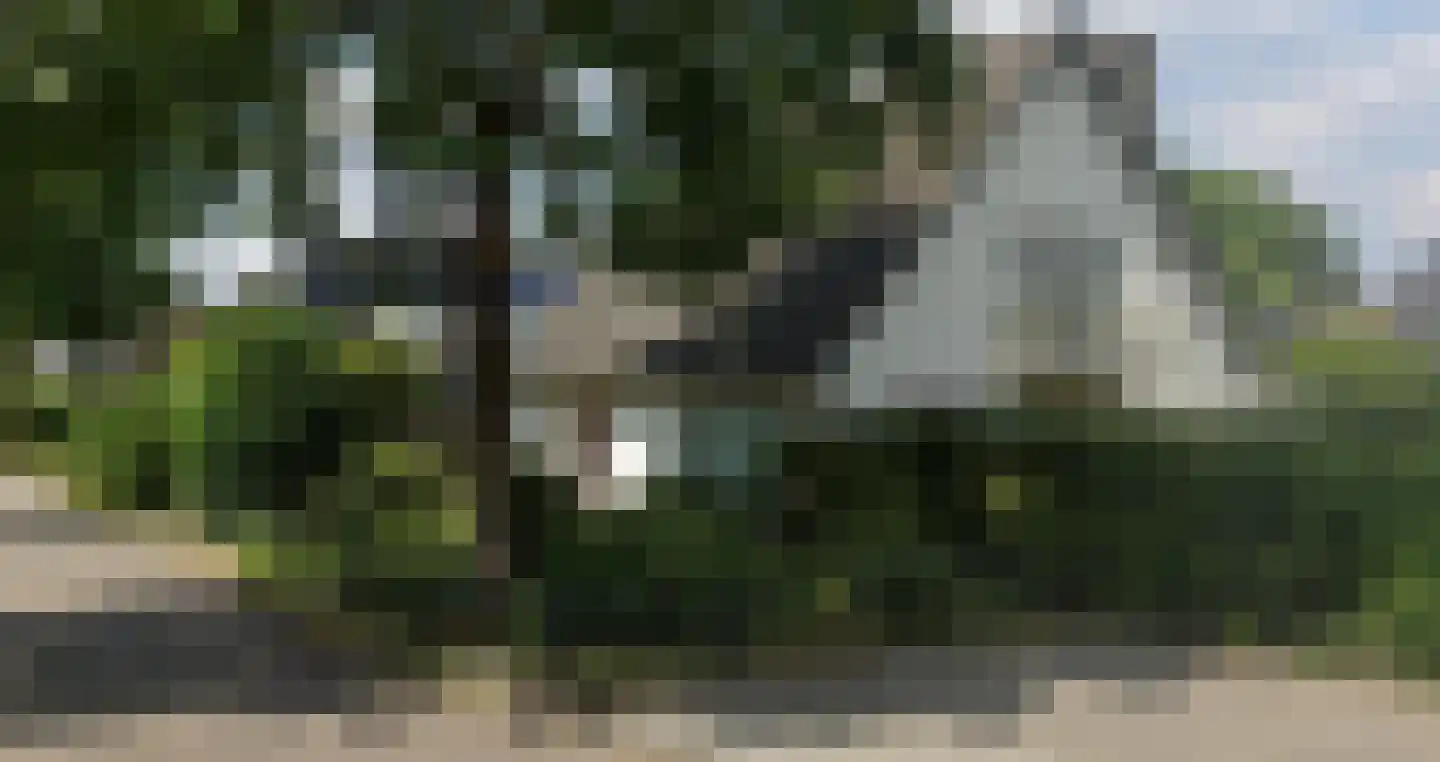 Hulsbos 15 Mierlo thumbnail 8