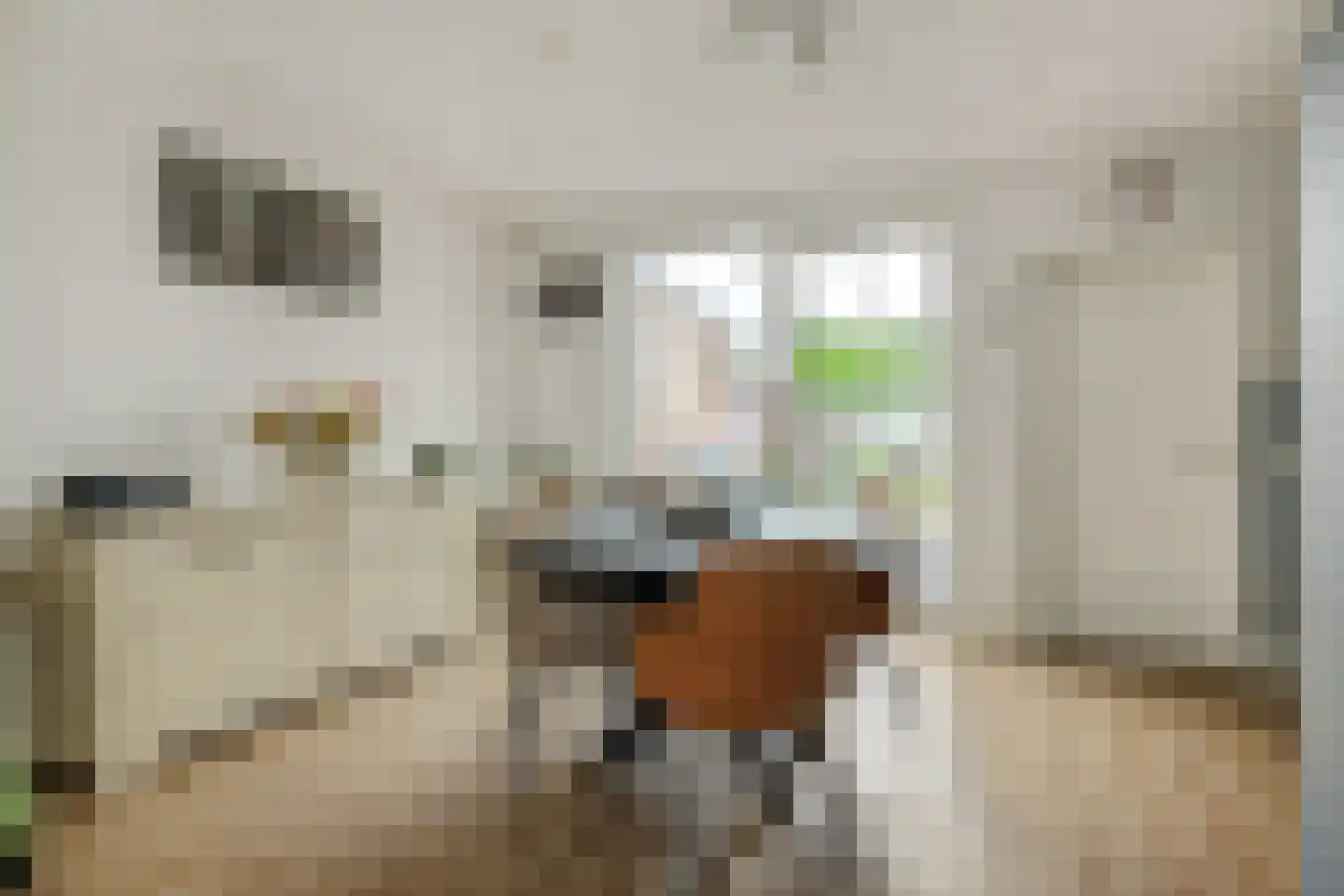 Hulsbos 41 Liessel thumbnail 14