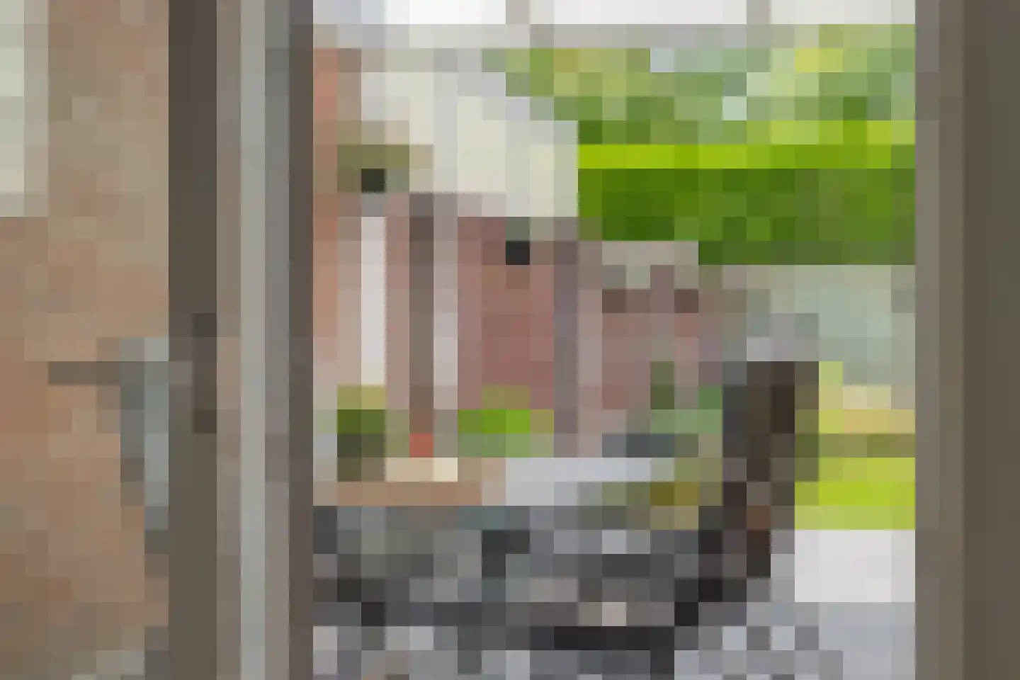 Hulsbos 41 Liessel thumbnail 15