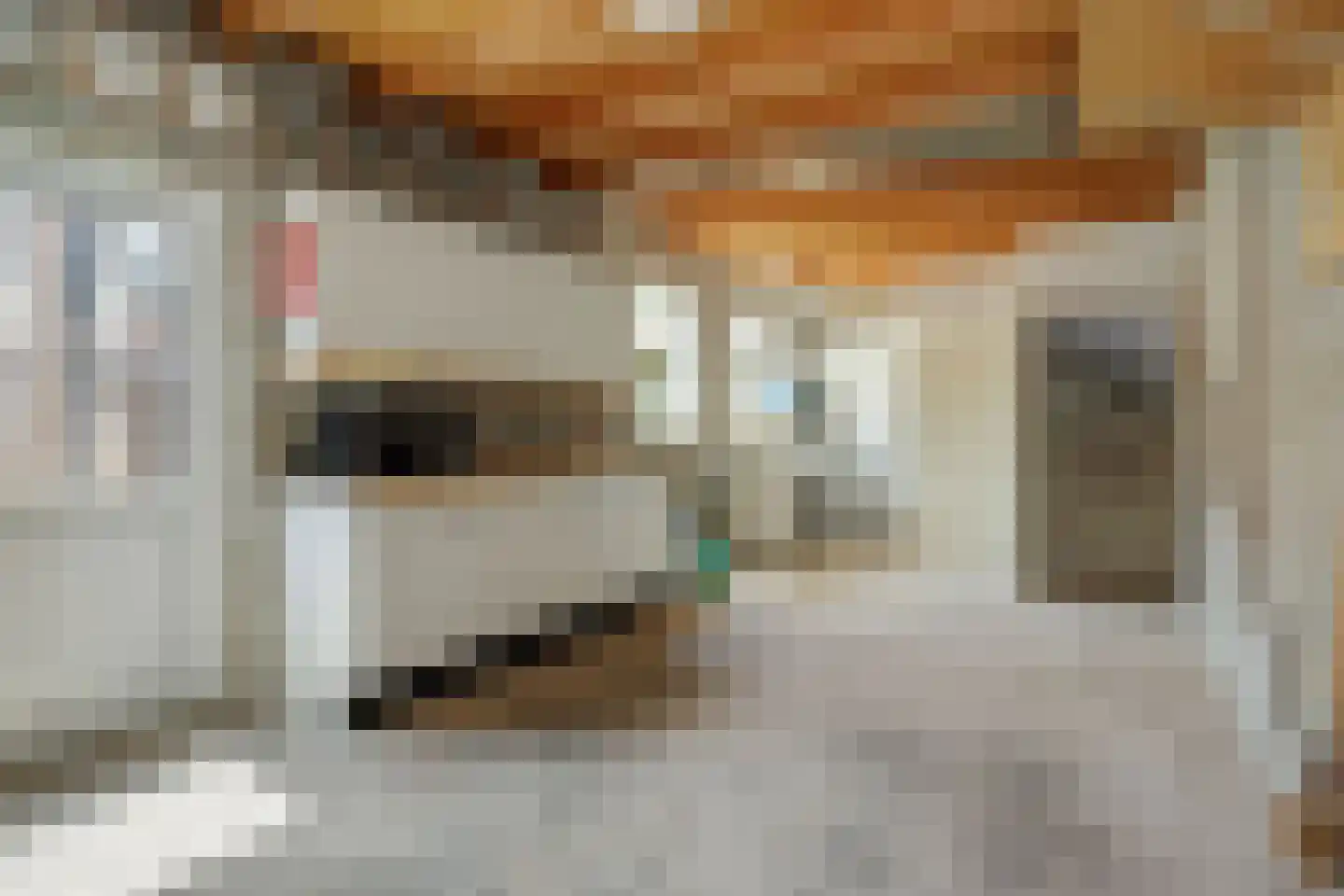 Hulsbos 41 Liessel thumbnail 33