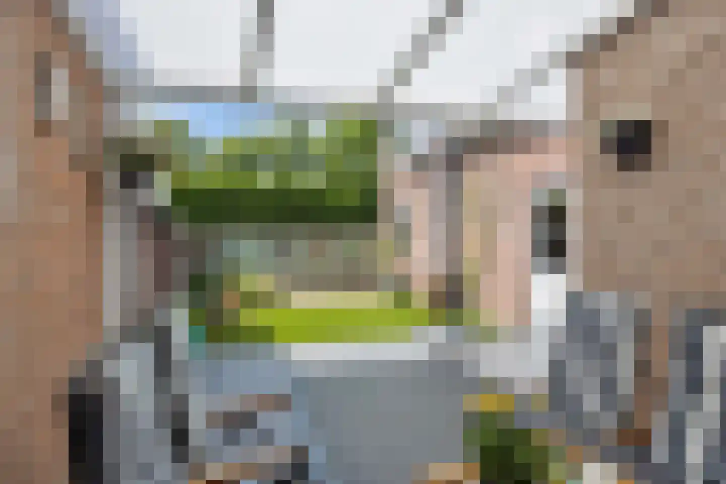 Hulsbos 41 Liessel thumbnail 35