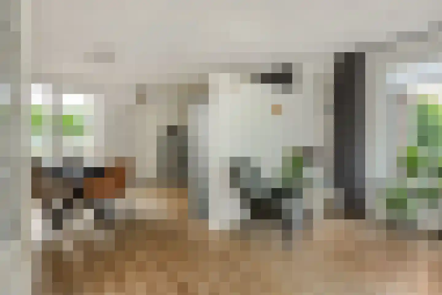 Hulsbos 41 Liessel thumbnail 4