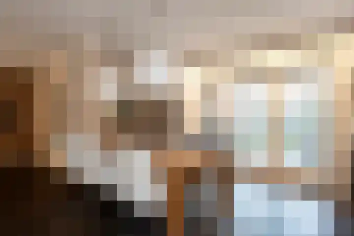 Hulsbossen 20 Hooge Mierde thumbnail 11