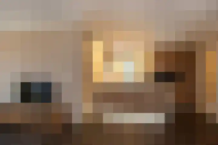 Hulsbossen 20 Hooge Mierde thumbnail 12