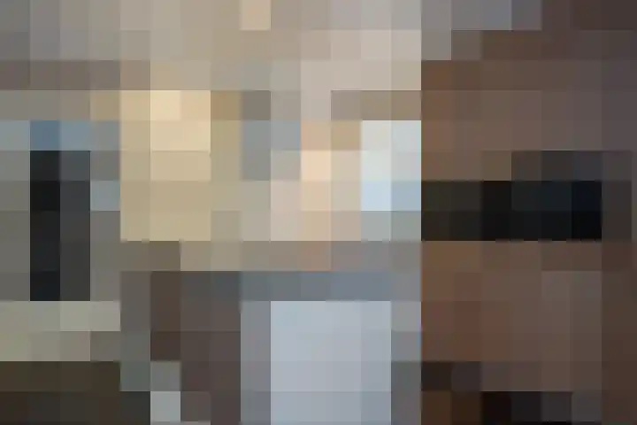 Hulsbossen 20 Hooge Mierde thumbnail 13