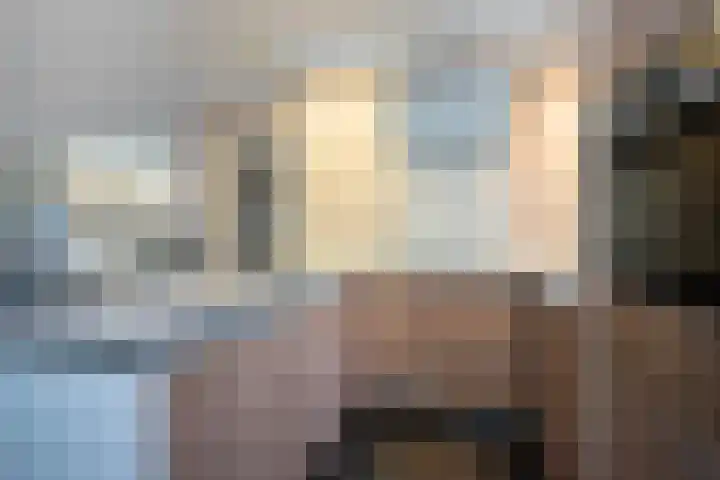 Hulsbossen 20 Hooge Mierde thumbnail 14