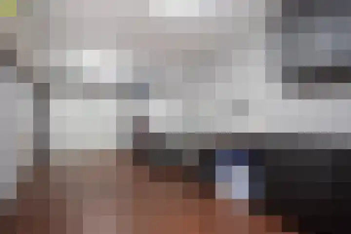 Hulsbossen 20 Hooge Mierde thumbnail 17