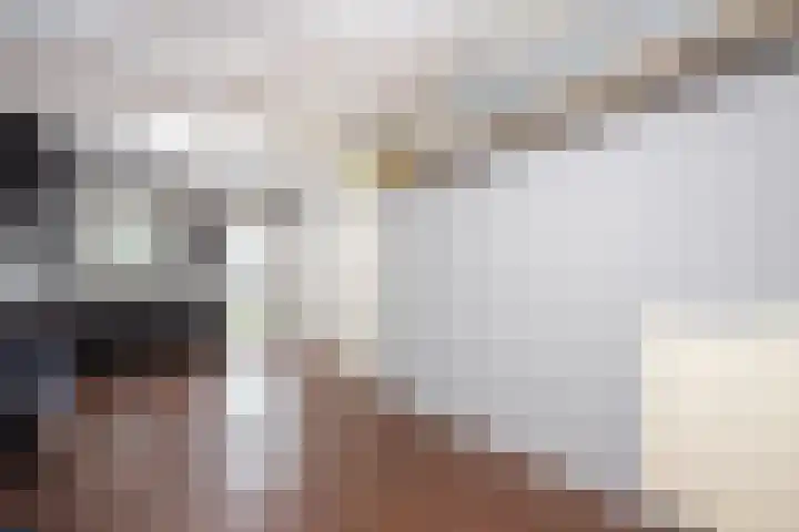Hulsbossen 20 Hooge Mierde thumbnail 18