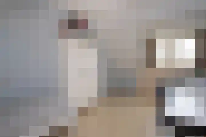 Hulsbossen 20 Hooge Mierde thumbnail 22