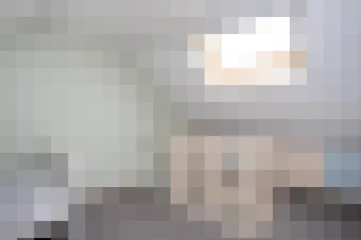 Hulsbossen 20 Hooge Mierde thumbnail 27