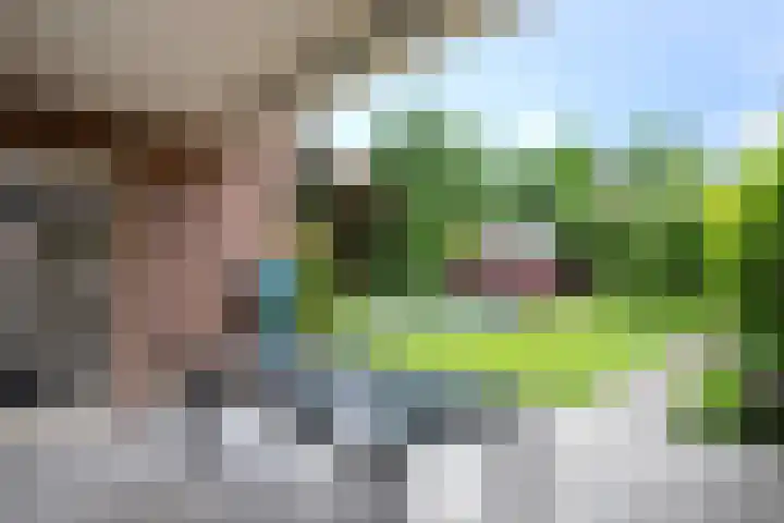 Hulsbossen 20 Hooge Mierde thumbnail 30