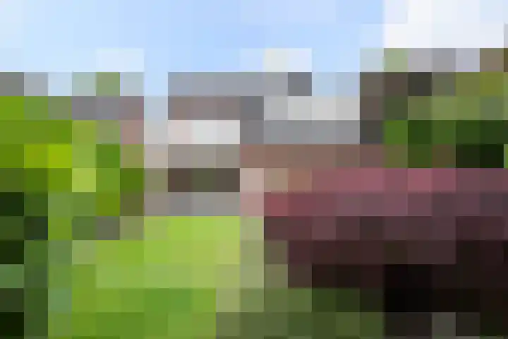 Hulsbossen 20 Hooge Mierde thumbnail 31