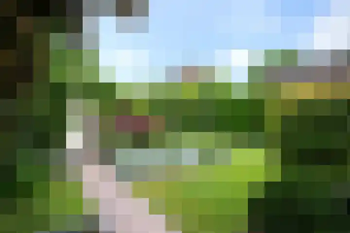 Hulsbossen 20 Hooge Mierde thumbnail 33